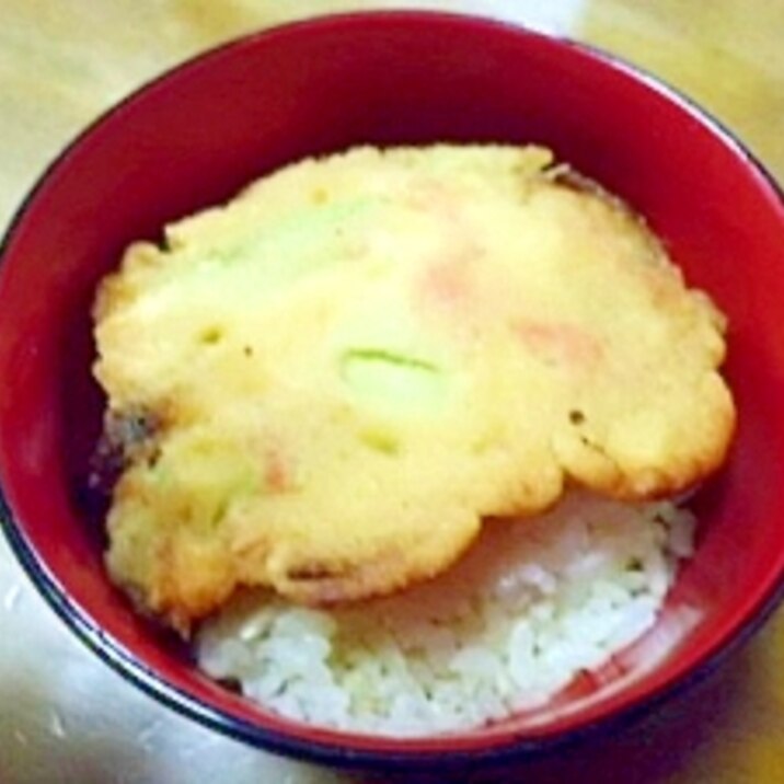 残り物のかき揚げで　ちょこっと　かき揚げ丼